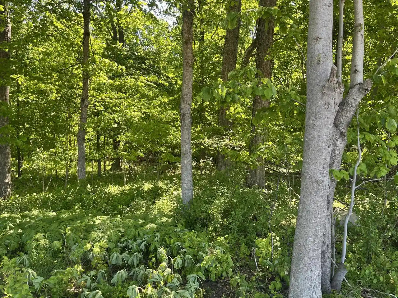 11th image of 0 River Valley Road Road, Ixonia, WI 53036 | MLS# 1953963
