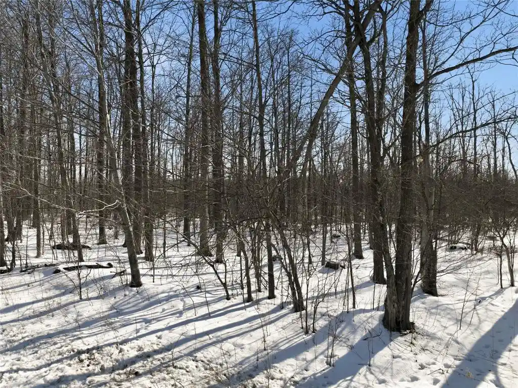 22nd image of 0 327th Street Street, Boyd, WI 54726 | MLS# 1598923