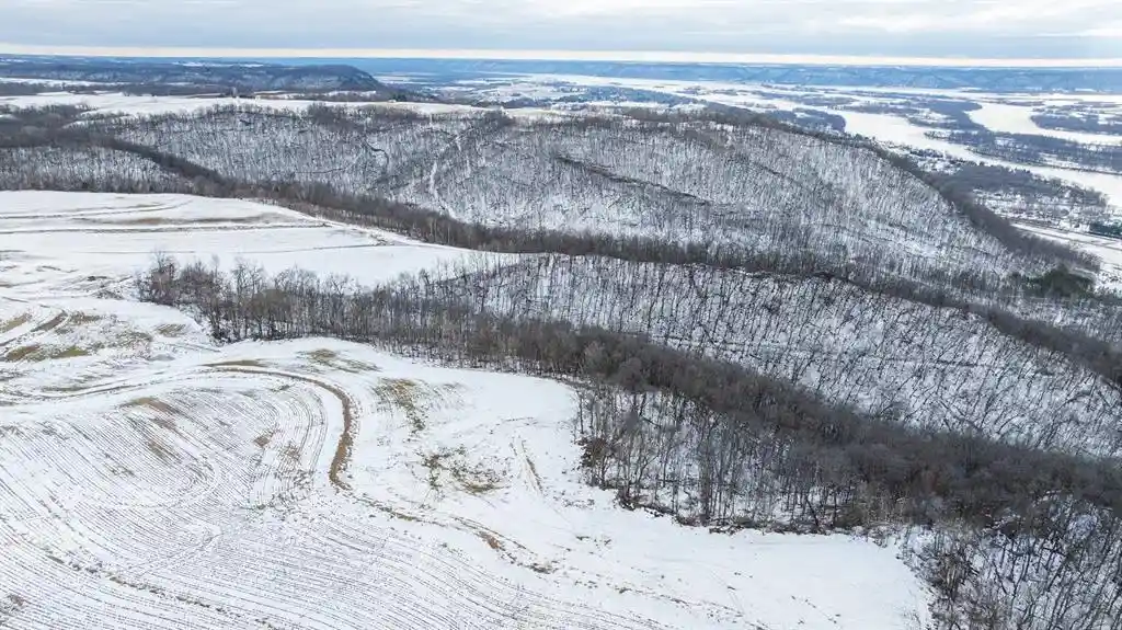 5th image of 0 Maplewood Lane Lane, Alma, WI 54610 | MLS# 1599303