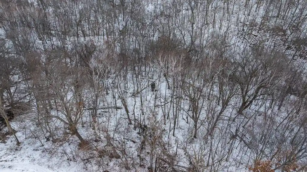 Photo 3 of Land for sale at 0 Maplewood Lane Lane, Alma, WI 54610 | MLS# 1599311 | Listing updated on 2026-06-29
