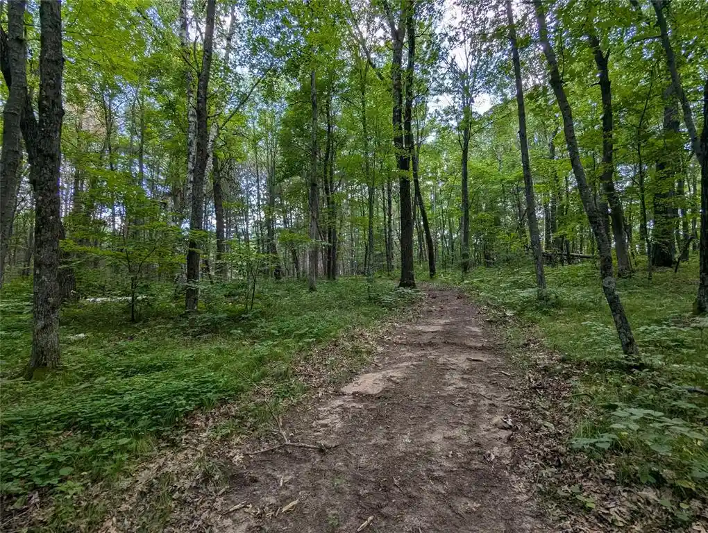 Photo 1 of Land for sale at Lot 2 Fosmo, Webster, WI 54893 | MLS# 1599367 | Listing updated on 2026-07-30