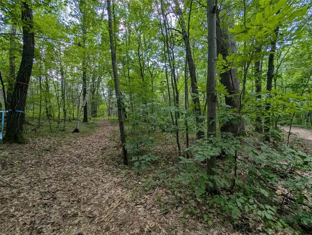 Photo 1 of Land for sale at Lot 4 Fosmo, Webster, WI 54893 | MLS# 1599372 | Listing updated on 2026-07-30
