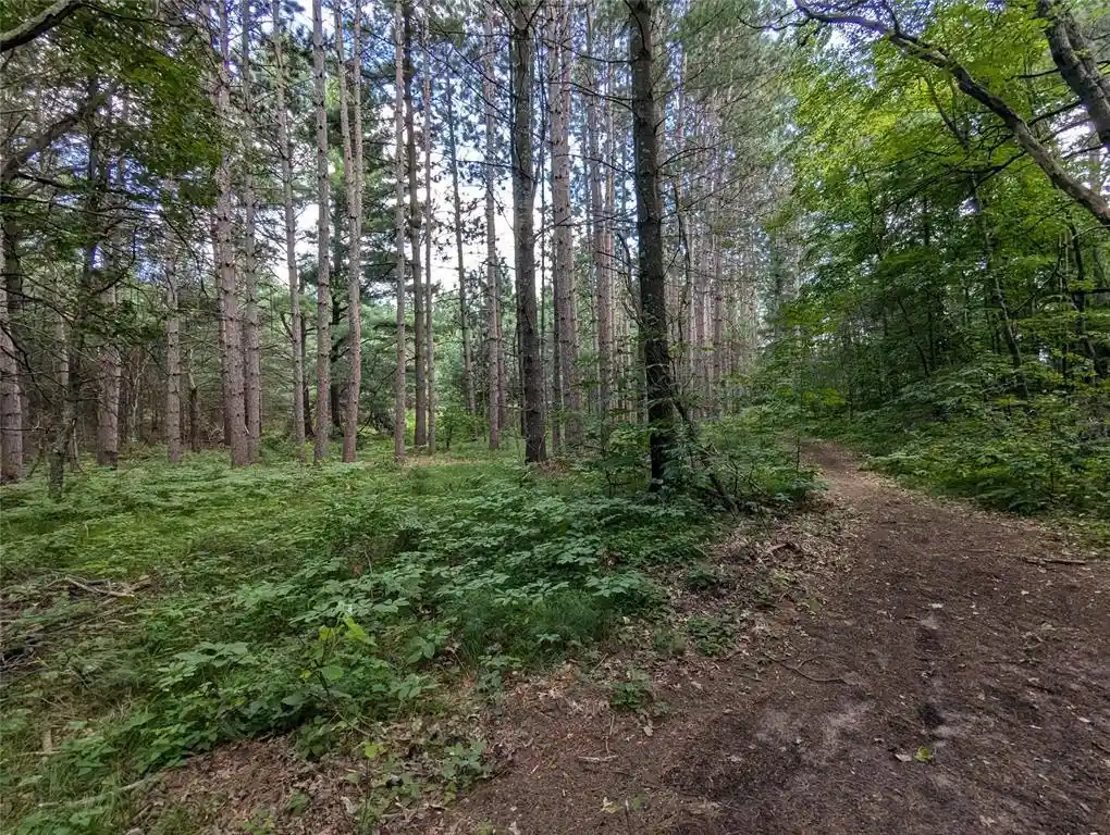 Photo 1 of Land for sale at Lot 5 Fosmo, Webster, WI 54893 | MLS# 1599373 | Listing updated on 2026-07-30
