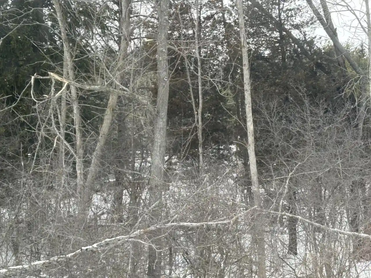 3rd image of 13446 Lakewood Dr Dr, Mequon, WI 53097 | MLS# 1955020