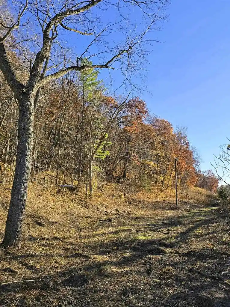 Homes for sale in De Soto, WI | 41 +/- Acres Hwy 35, De Soto, WI 54624 | MLS# 2019194