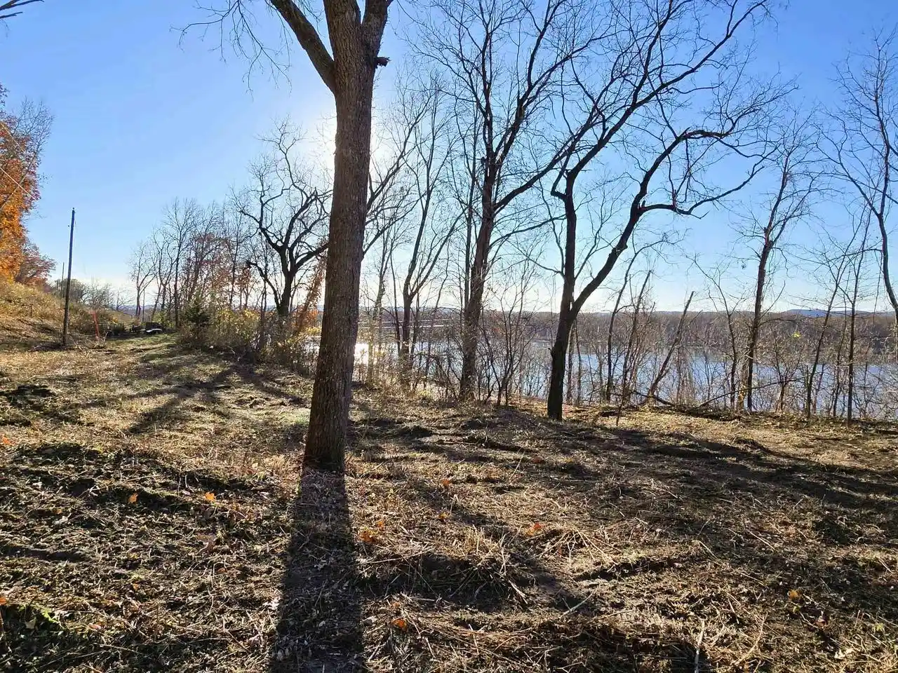 Homes for sale in De Soto, WI | 41 +/- Acres Hwy 35, De Soto, WI 54624 | MLS# 2019194