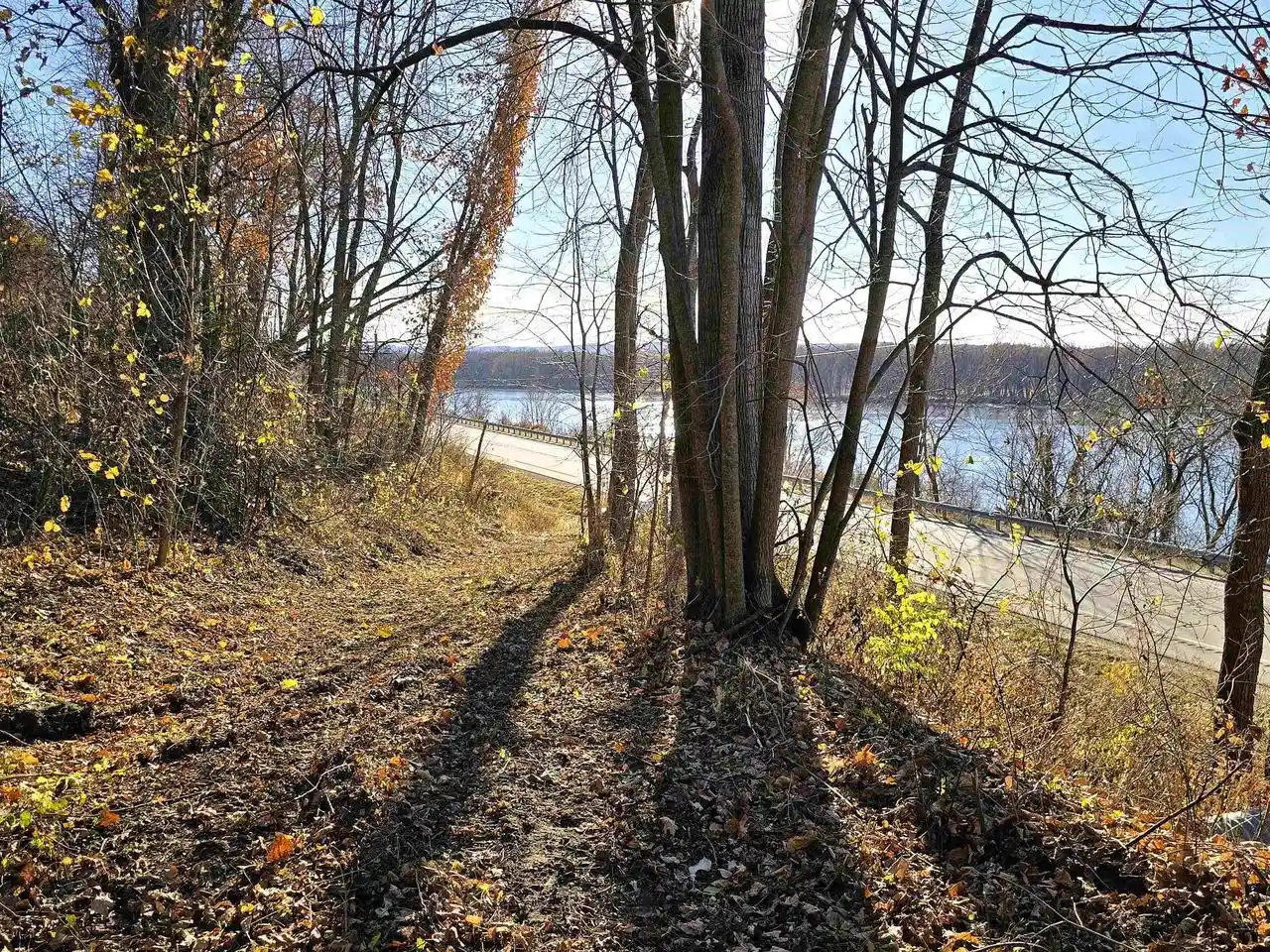 Homes for sale in De Soto, WI | 41 +/- Acres Hwy 35, De Soto, WI 54624 | MLS# 2019194
