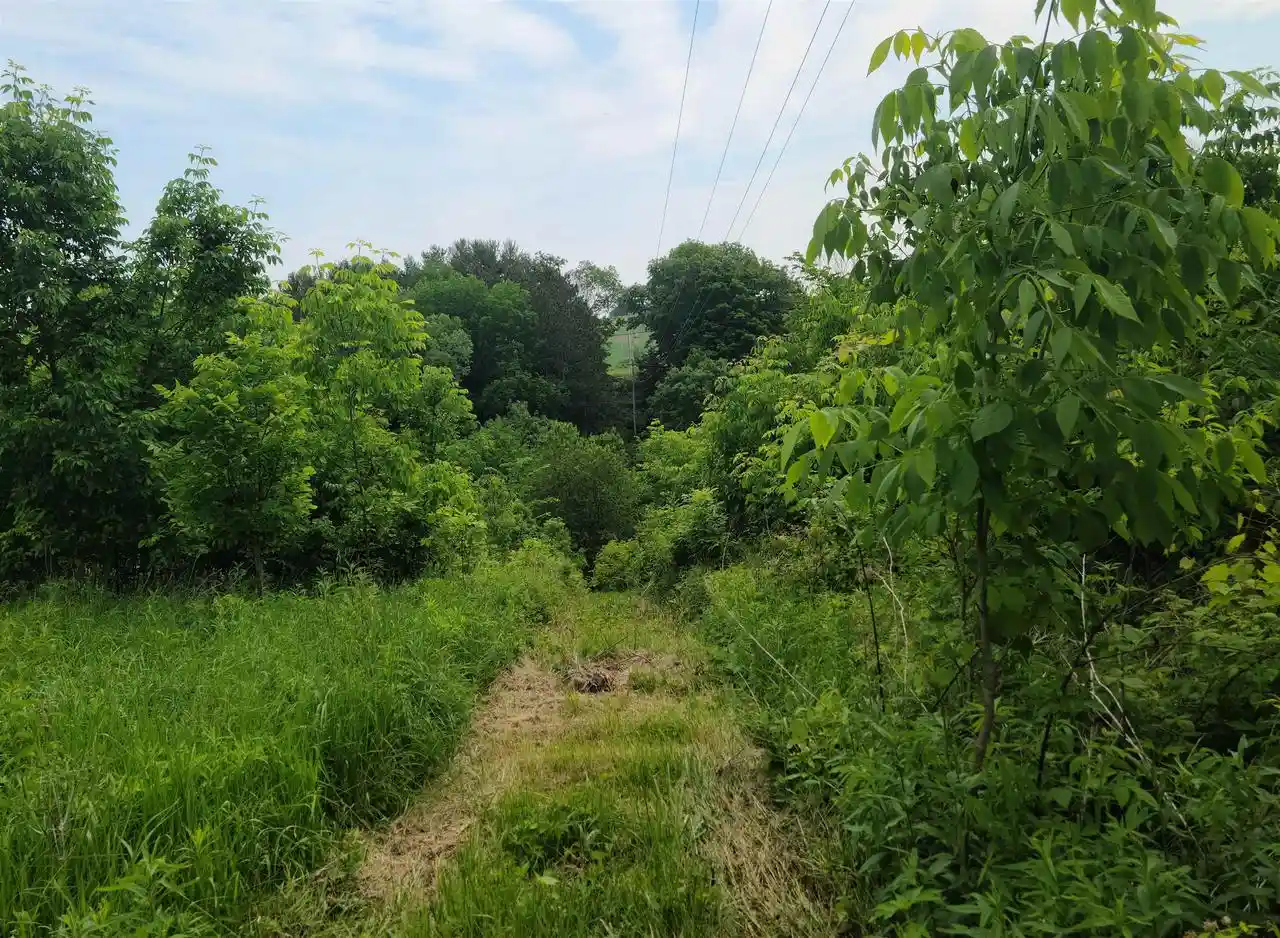 Homes for sale in Spring Green, WI | 000 Little Bear Road Road, Spring Green, WI 53588 | MLS# 2019216