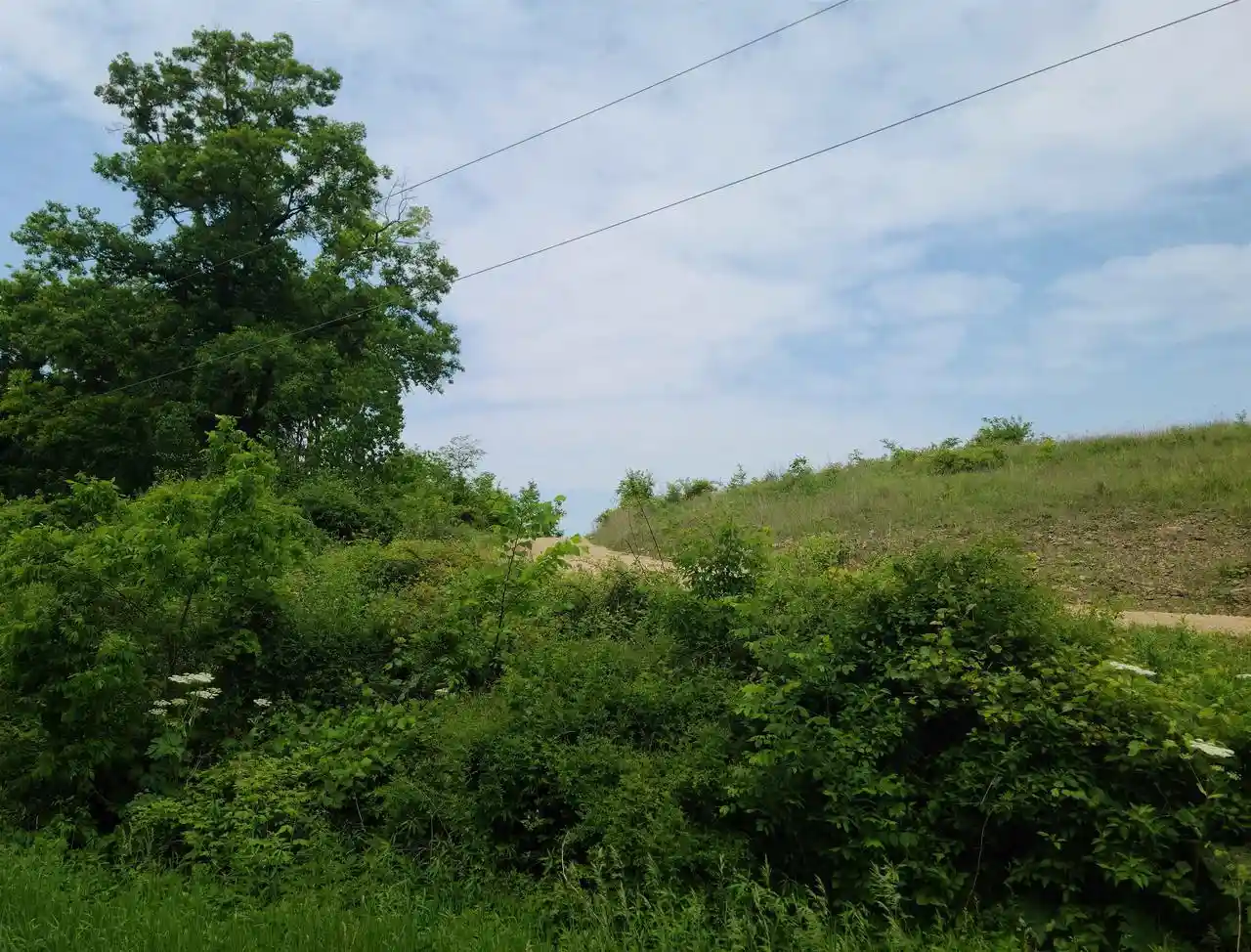 Homes for sale in Spring Green, WI | 000 Little Bear Road Road, Spring Green, WI 53588 | MLS# 2019216