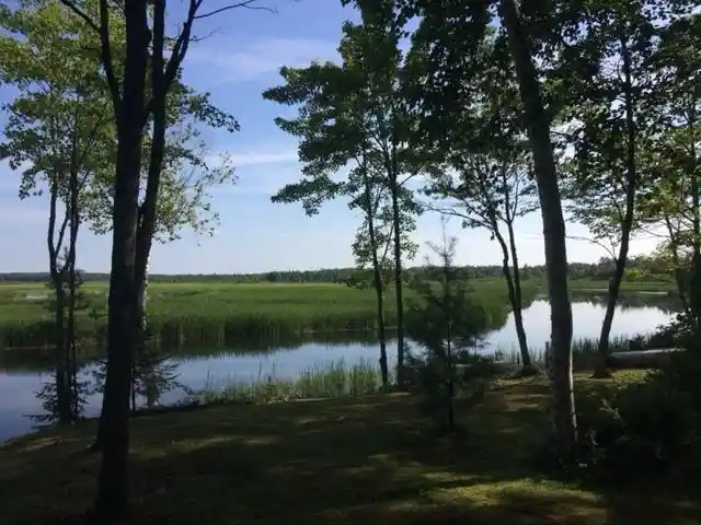 Photo 3 of Land for sale at 00 County Rd Y, Gordon, WI 54838 | MLS# 1599419 | Listing updated on 2026-08-01