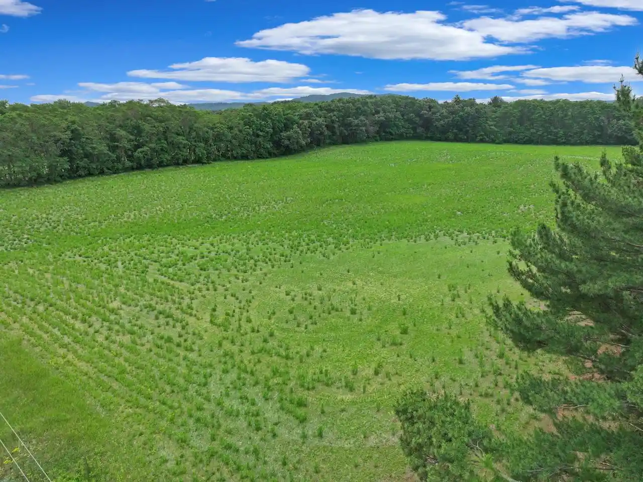 Homes for sale in Mauston, WI | Lts 3-4 Cemetery Road Road #Lt4, Mauston, WI 53948 | MLS# 1955149