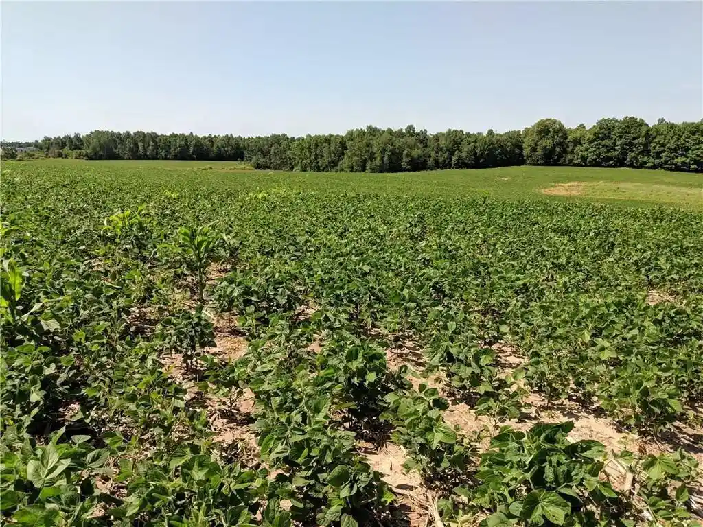 Photo 3 of Land for sale at 40 Acres County Rd B West, Glen Flora, WI 52526 | MLS# 1599481 | Listing updated on 2026-07-22
