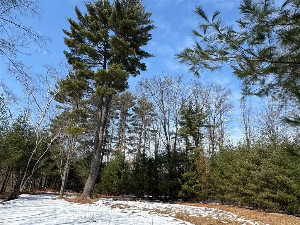 Photo 1 of Land for sale at Ooo Lake Rd, Clintonville, WI 54929 | MLS# 1599470 | Listing updated on 2026-07-10