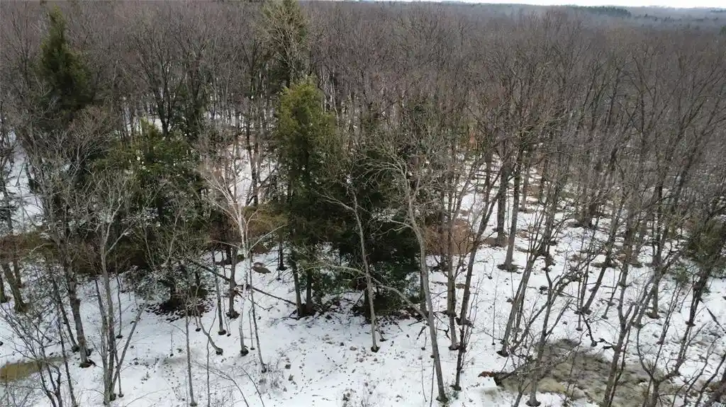 Photo 2 of Land for sale at Ooo Lake Rd, Clintonville, WI 54929 | MLS# 1599470 | Listing updated on 2026-07-10