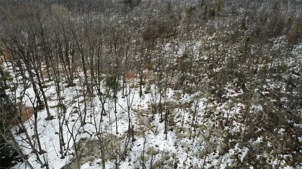 Photo 3 of Land for sale at Ooo Lake Rd, Clintonville, WI 54929 | MLS# 1599470 | Listing updated on 2026-07-10