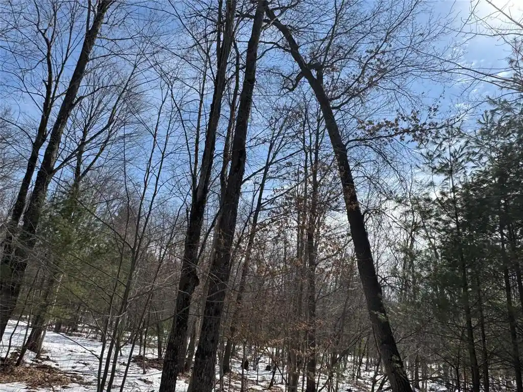 Photo 3 of Land for sale at Ooo Lake Rd, Clintonville, WI 54929 | MLS# 1599470 | Listing updated on 2026-07-10
