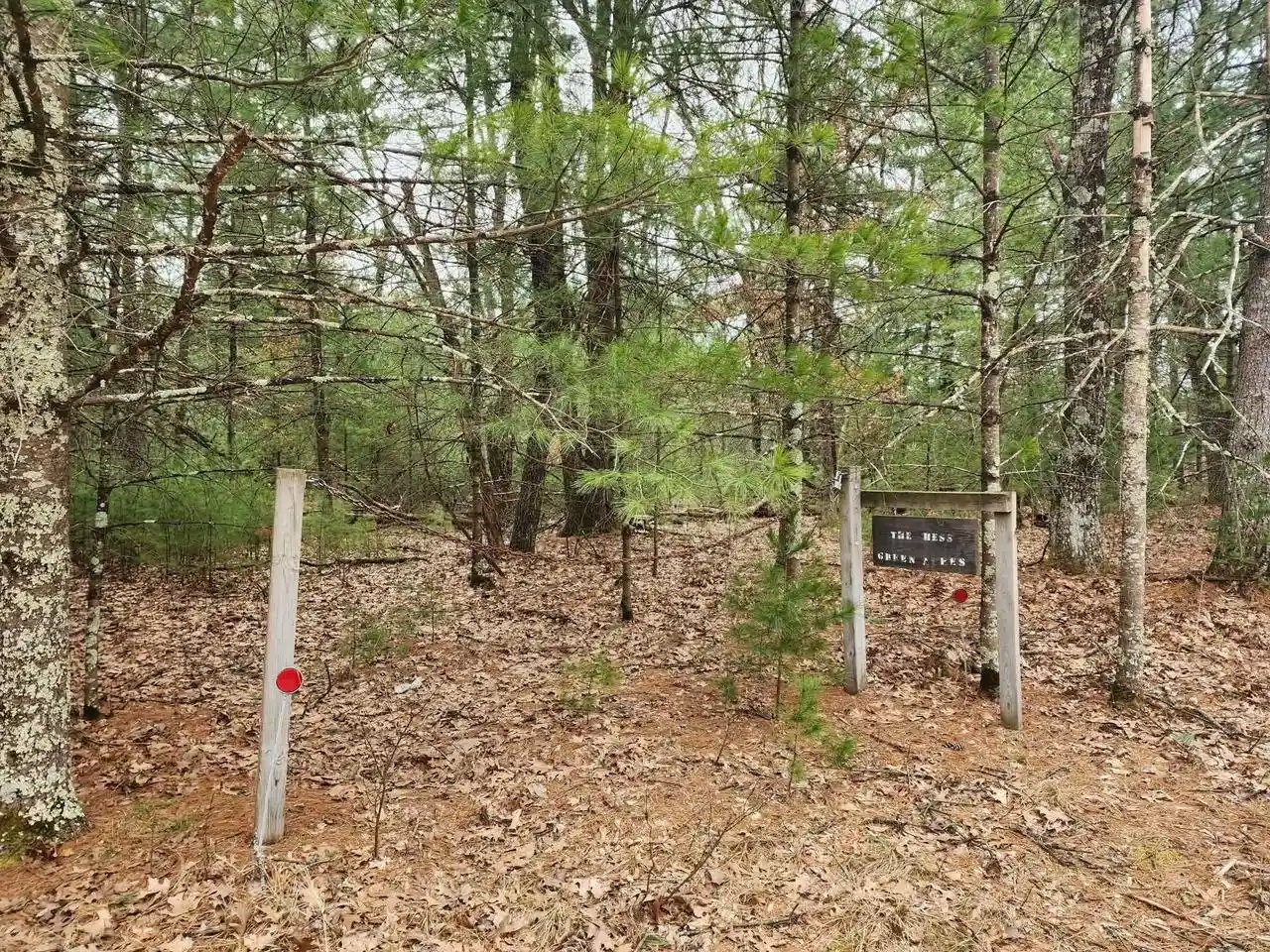 1st image of Dyke Avenue Avenue, Adams, WI 53910 | MLS# 2019382