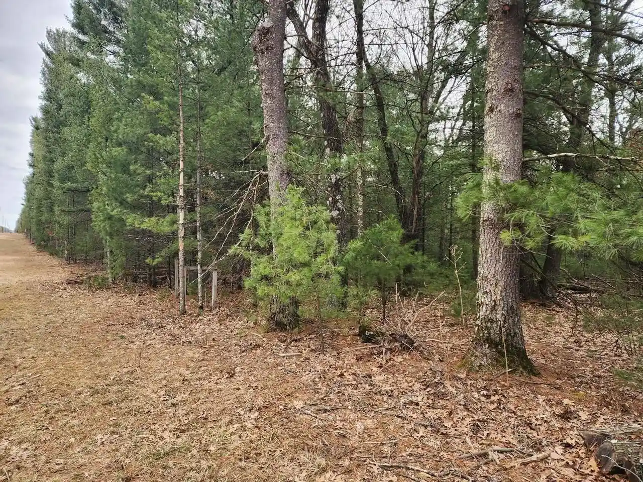 2nd image of Dyke Avenue Avenue, Adams, WI 53910 | MLS# 2019382