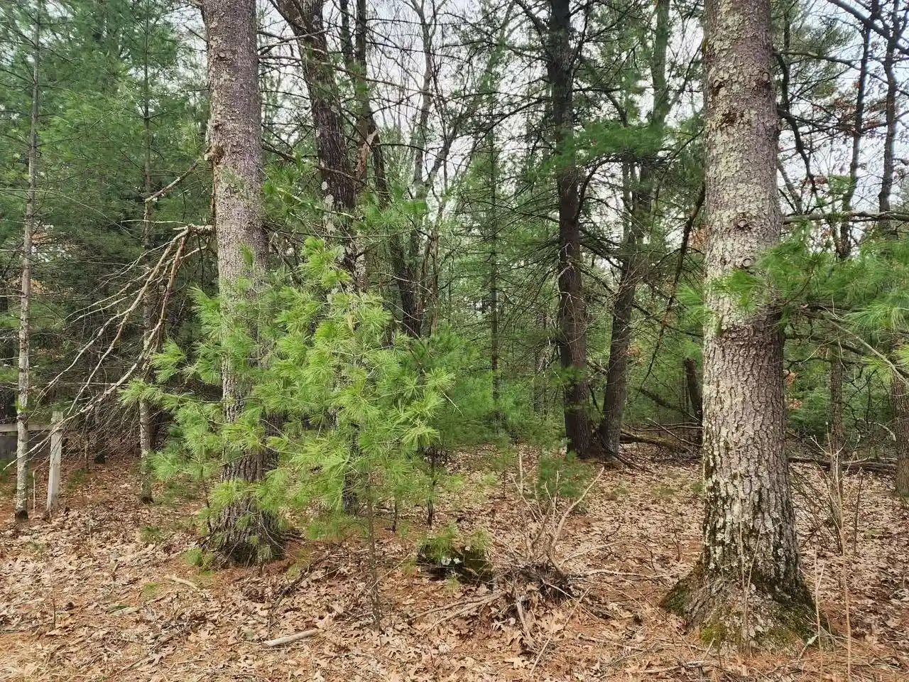 Photo 3 of Land for sale at Dyke Avenue Avenue, Adams, WI 53910 | MLS# 2019382 | Listing updated on 2026-05-01