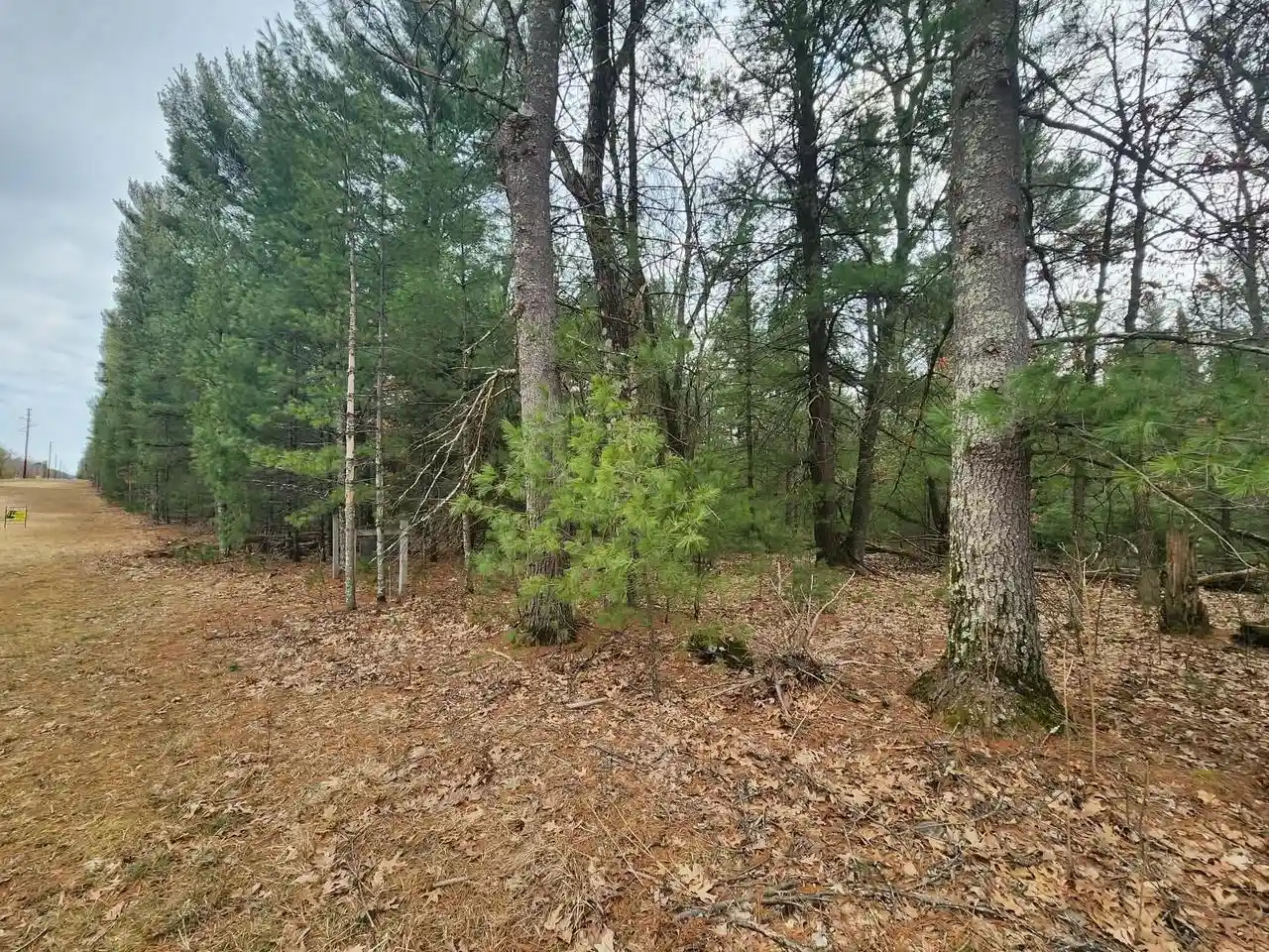 Photo 3 of Land for sale at Dyke Avenue Avenue, Adams, WI 53910 | MLS# 2019382 | Listing updated on 2026-05-01