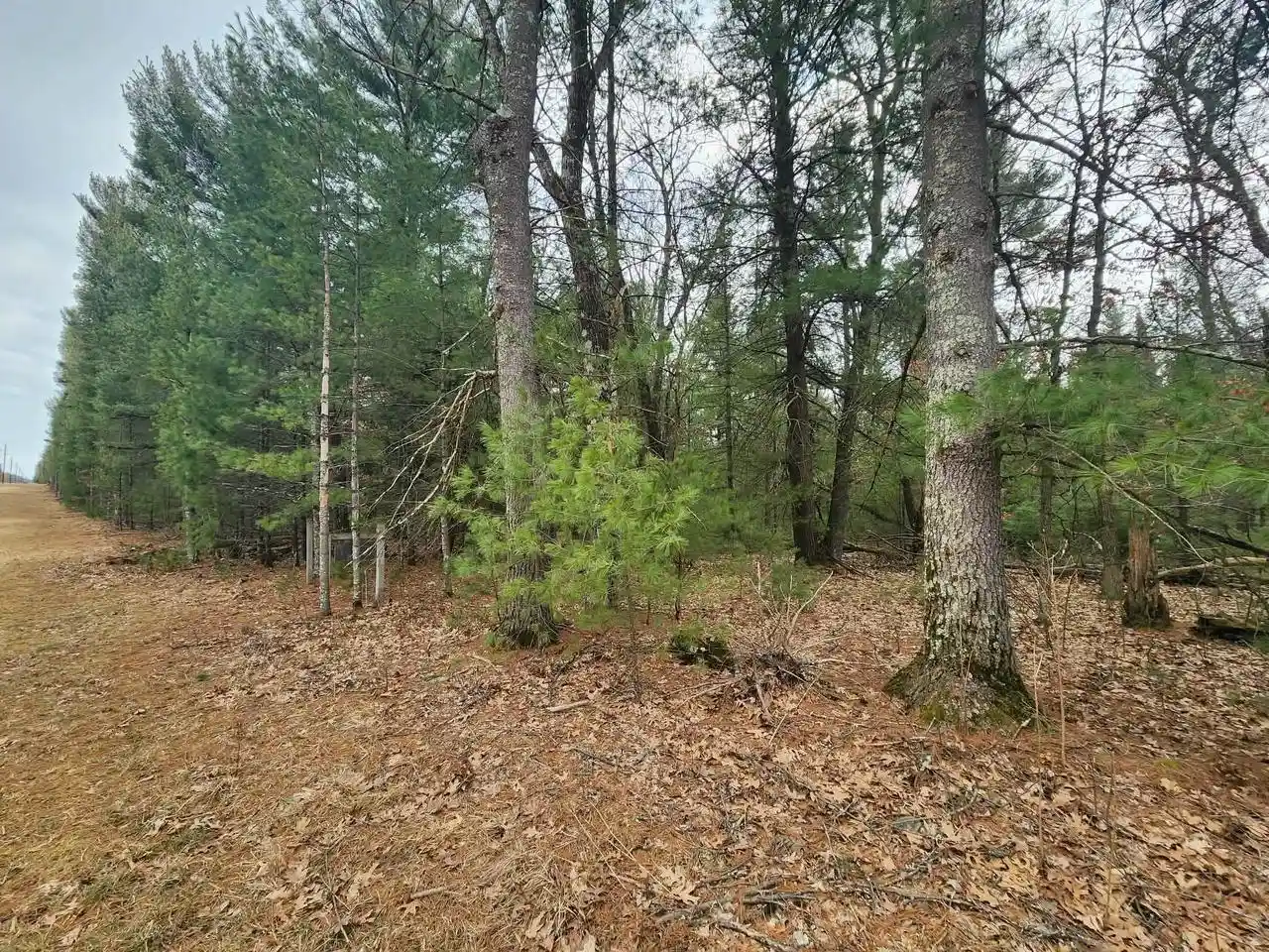 Photo 4 of Land for sale at Dyke Avenue Avenue, Adams, WI 53910 | MLS# 2019382 | Listing updated on 2026-05-01