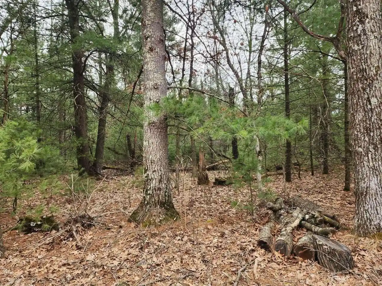 22nd image of Dyke Avenue Avenue, Adams, WI 53910 | MLS# 2019382