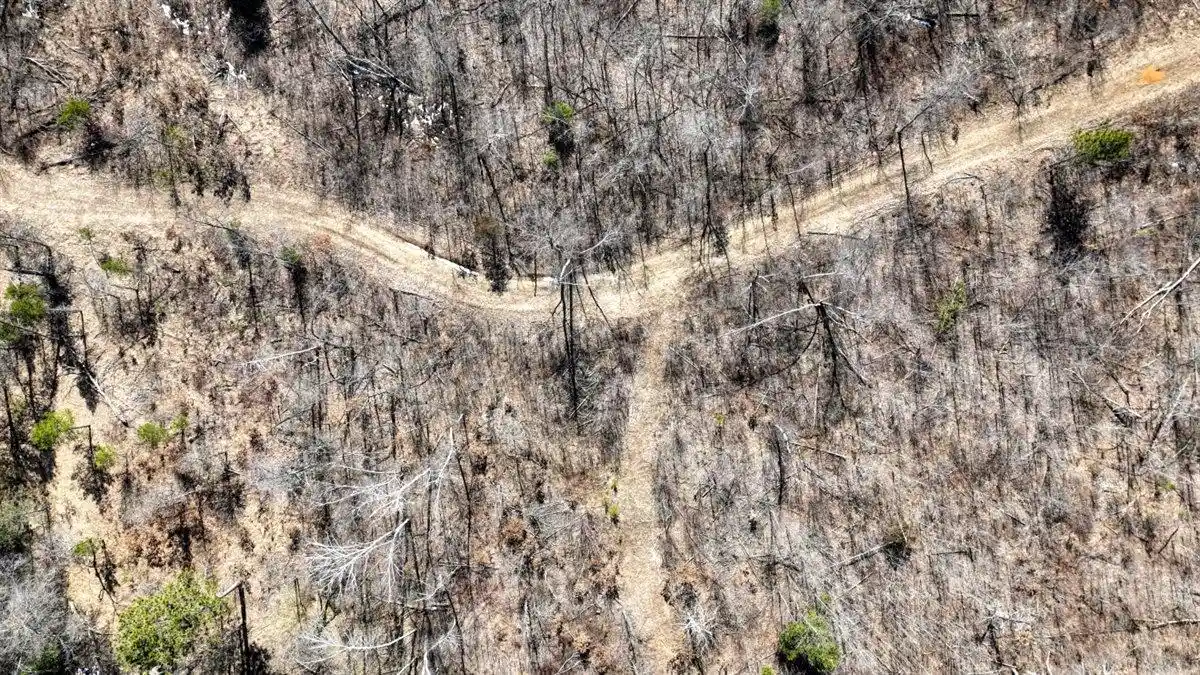 3rd image of N8147 Hwy 80, New Lisbon, WI 53950 | MLS# 2019458