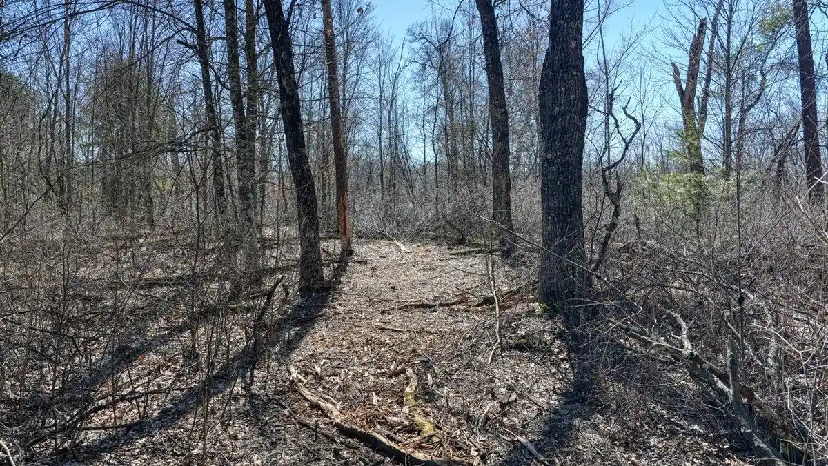 5th image of N8147 Hwy 80, New Lisbon, WI 53950 | MLS# 2019458