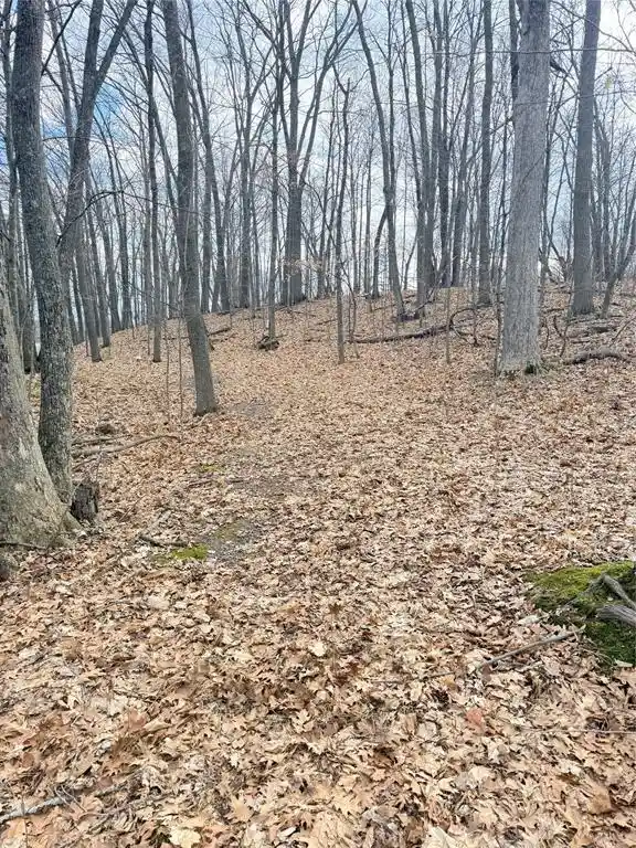Photo 2 of Land for sale at 0 216th Street Street, Luck, WI 54853 | MLS# 1599355 | Listing updated on 2026-04-29