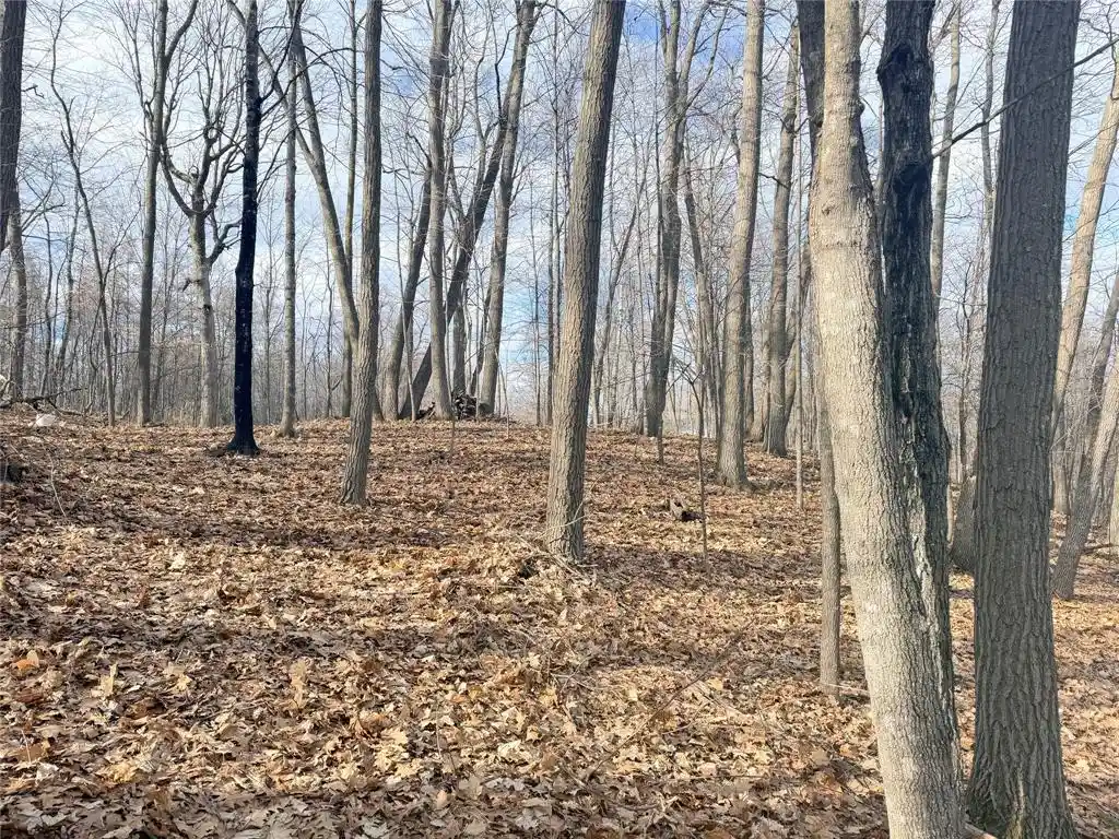 Photo 3 of Land for sale at 0 216th Street Street, Luck, WI 54853 | MLS# 1599355 | Listing updated on 2026-04-29