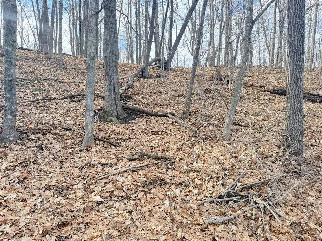 Photo 3 of Land for sale at 0 216Th Street Street, Luck, WI 54853 | MLS# 1599355 | Listing updated on 2026-04-29