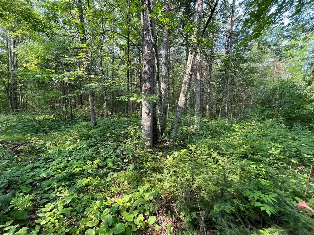 Homes for sale in Ladysmith, WI | W8804 Timber Trail Trail, Ladysmith, WI 54848 | MLS# 7046607