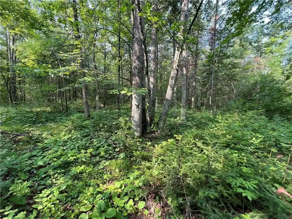 Photo 3 of Land for sale at W8804 Timber Trail Trail, Ladysmith, WI 54848 | MLS# 1599599 | Listing updated on 2026-09-21