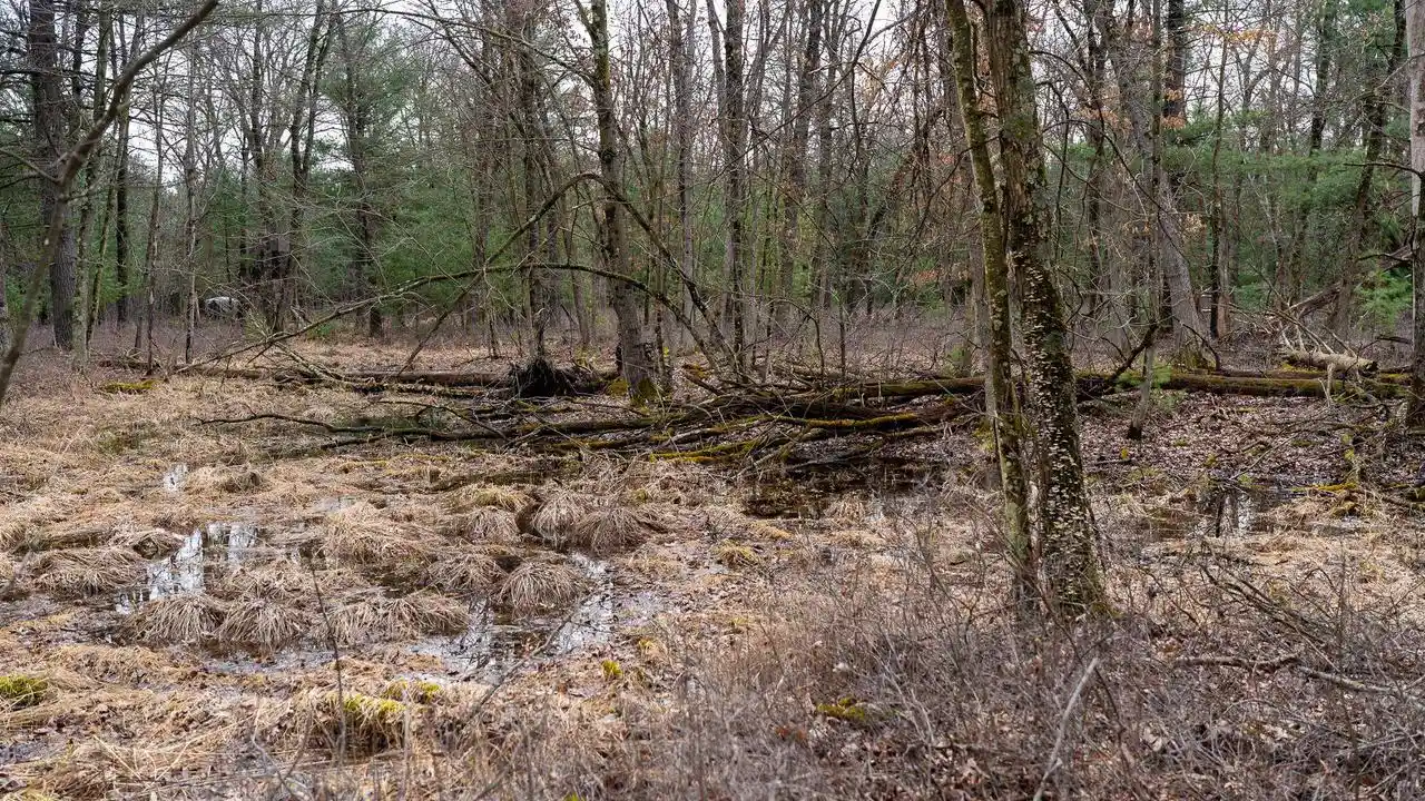 Photo 2 of Land for sale at Lot 1 14 Ac Dover Dr Dr, Adams, WI 53910 | MLS# 2019684 | Listing updated on 2026-08-03