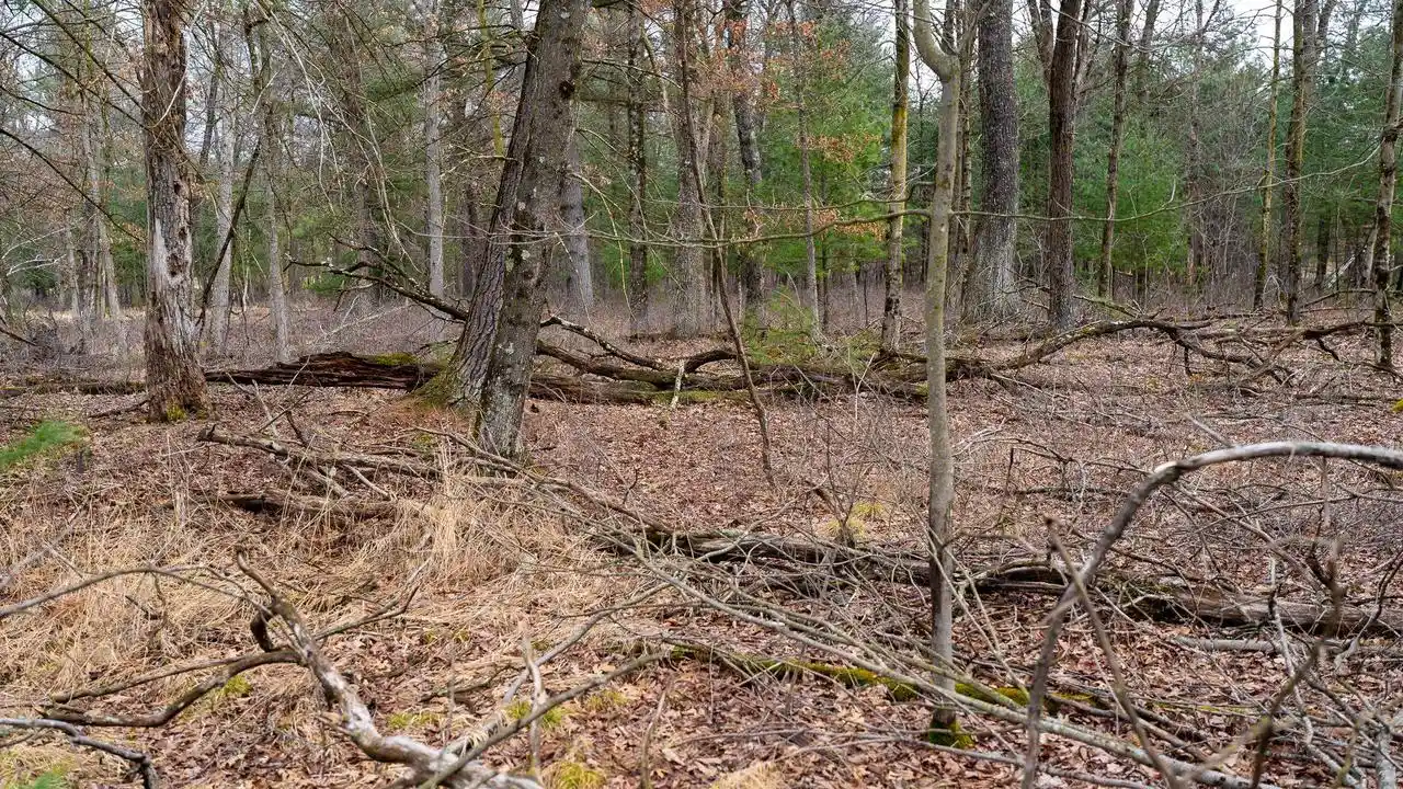 Photo 3 of Land for sale at Lot 1 14 Ac Dover Dr Dr, Adams, WI 53910 | MLS# 2019684 | Listing updated on 2026-08-03