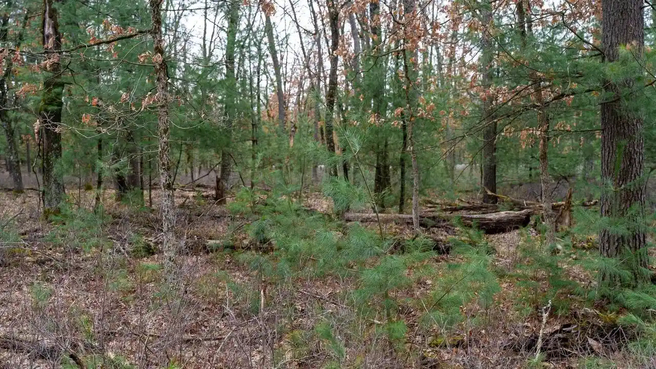 Photo 4 of Land for sale at Lot 1 14 Ac Dover Dr Dr, Adams, WI 53910 | MLS# 2019684 | Listing updated on 2026-08-03