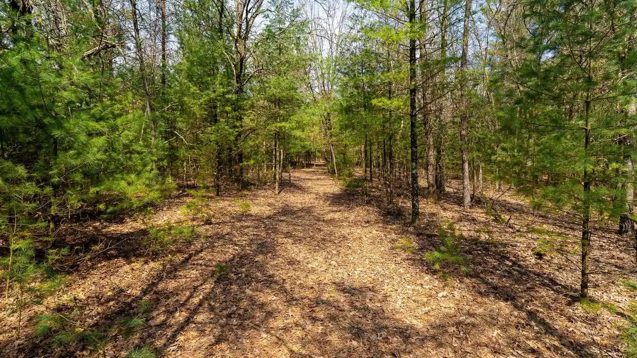 5th image of Lot 2 +/-43 Ac Dover Dr Dr, Adams, WI 53910 | MLS# 2019687