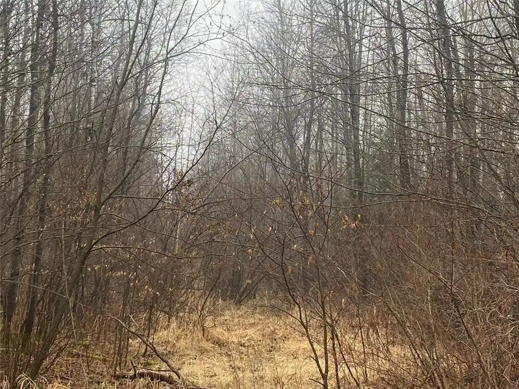 4th image of On Cth I, Ogema, WI 54459 | MLS# 1599109
