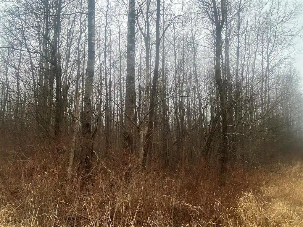 5th image of On Cth I, Ogema, WI 54459 | MLS# 1599109