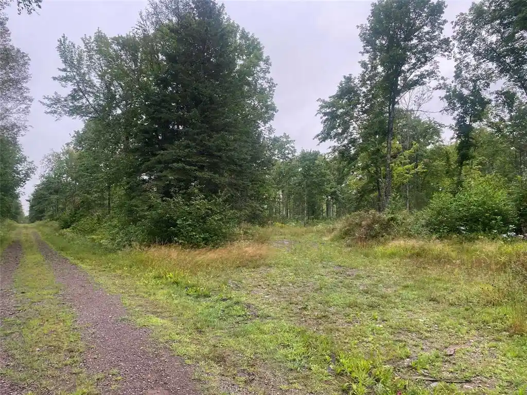 Photo 1 of Land for sale at On Doland Road Road, Loretta, WI 54896 | MLS# 1599134 | Listing updated on 2026-08-24