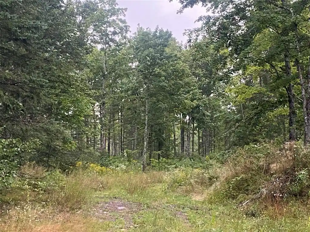 Photo 2 of Land for sale at On Doland Road Road, Loretta, WI 54896 | MLS# 1599134 | Listing updated on 2026-08-24