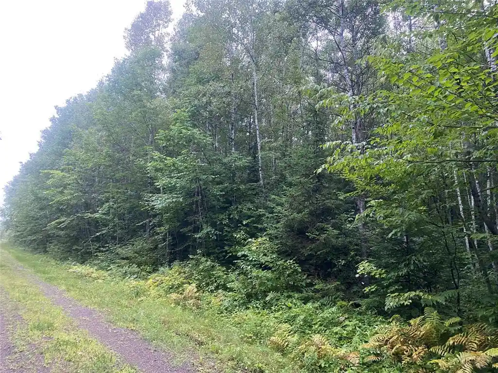 Photo 3 of Land for sale at On Doland Road Road, Loretta, WI 54896 | MLS# 1599134 | Listing updated on 2026-08-24