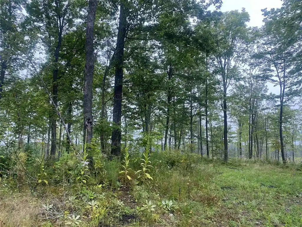 Photo 4 of Land for sale at On Doland Road Road, Loretta, WI 54896 | MLS# 1599134 | Listing updated on 2026-08-24