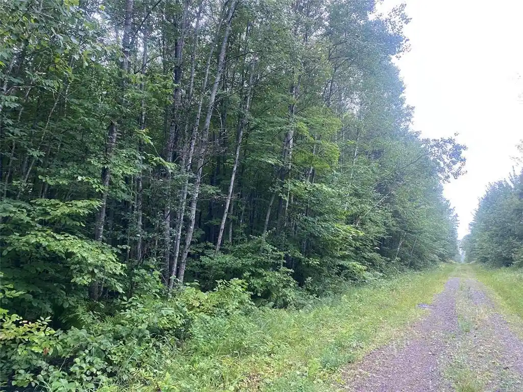 Photo 10 of Land for sale at On Doland Road Road, Loretta, WI 54896 | MLS# 1599134 | Listing updated on 2026-08-24