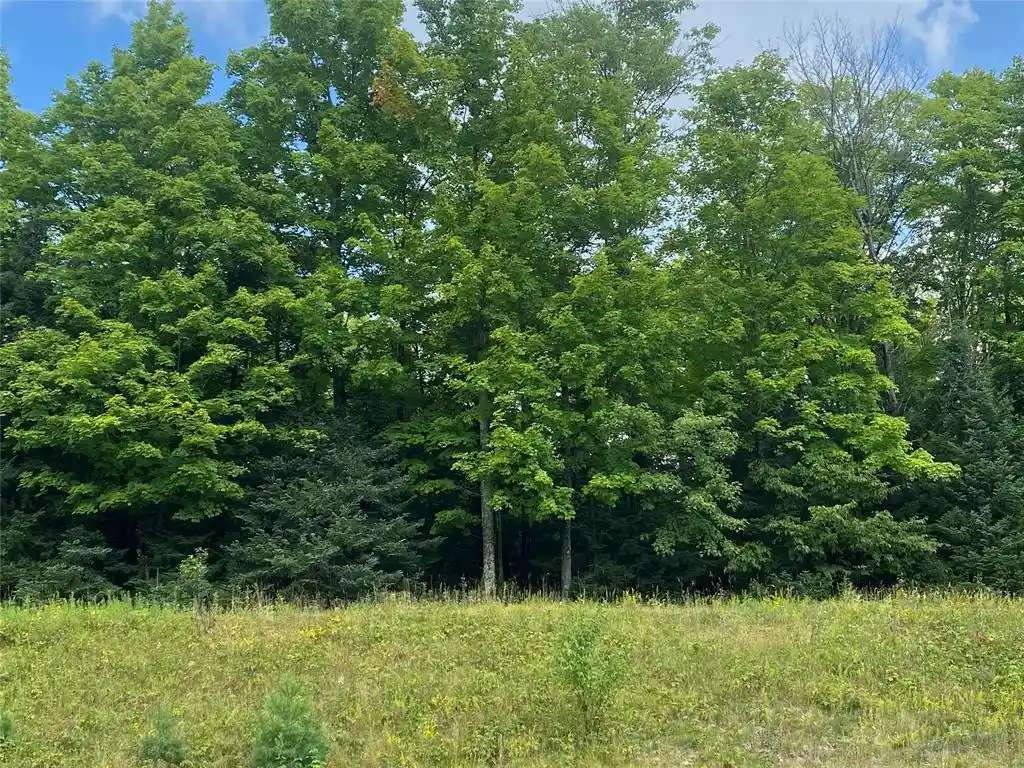 2nd image of On Pixley Shores Road Road, Fifield, WI 54524 | MLS# 1599131