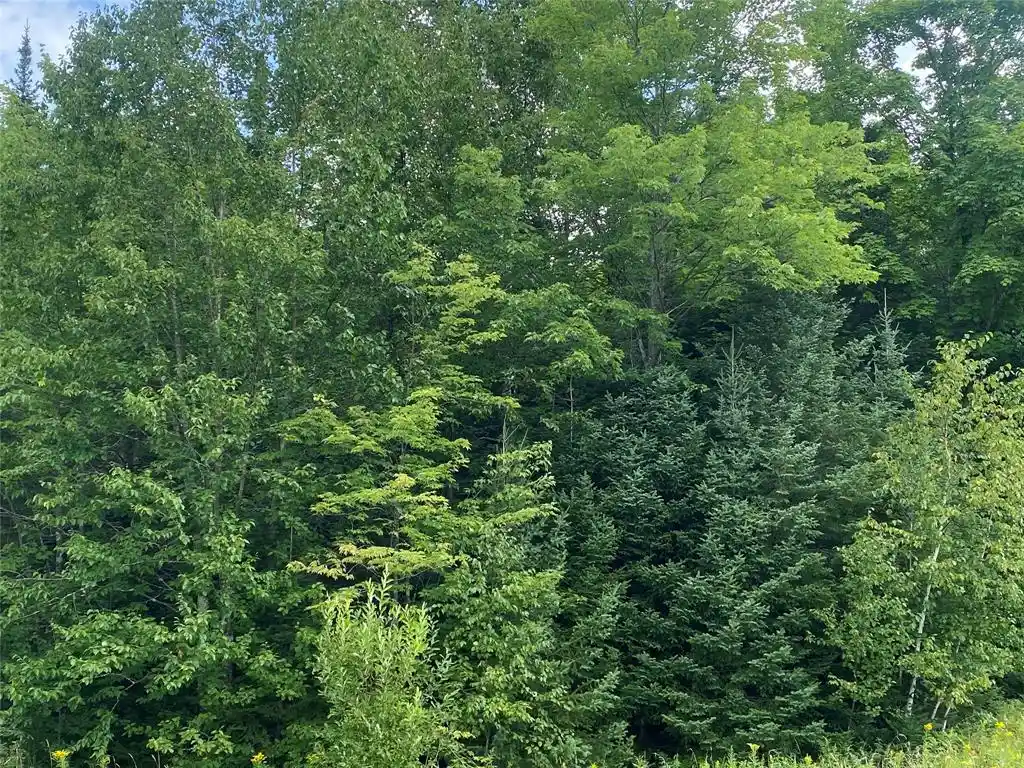 5th image of On Pixley Shores Road Road, Fifield, WI 54524 | MLS# 1599131