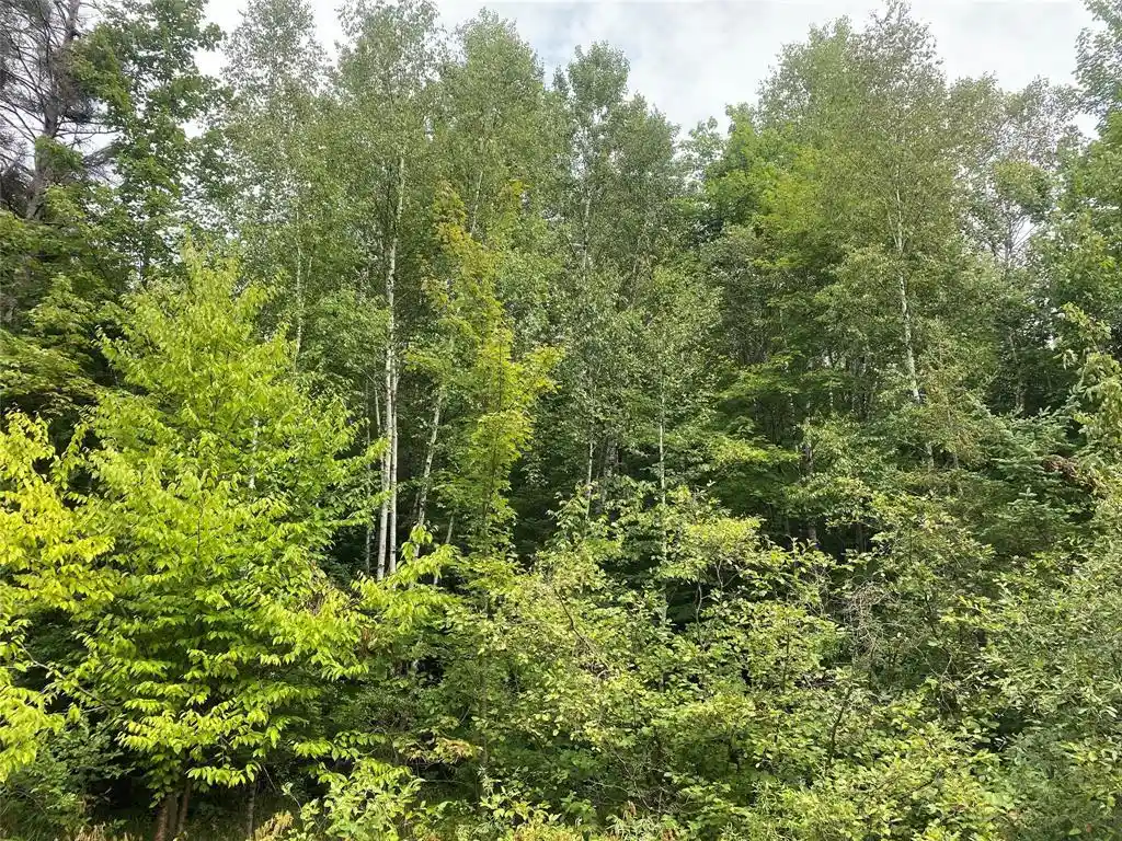 2nd image of On Maple Ridge Road Road, Park Falls, WI 54552 | MLS# 1599117
