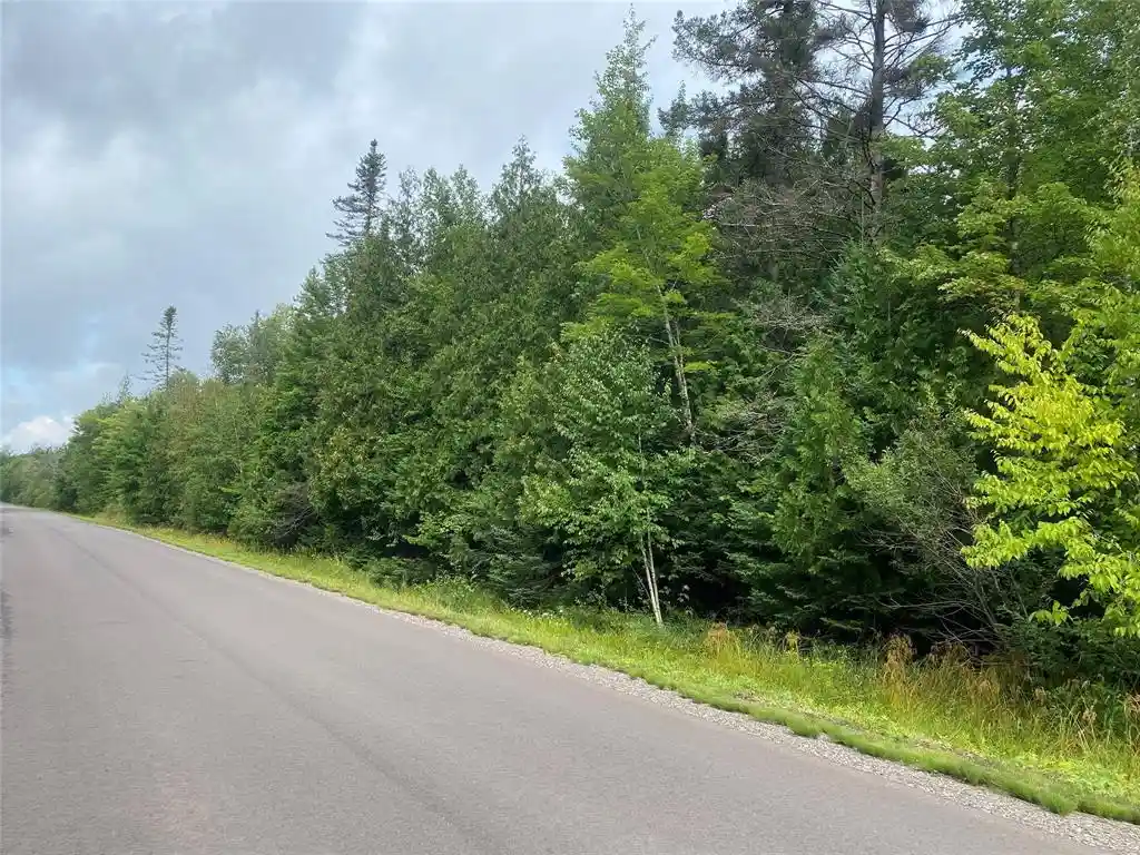 3rd image of On Maple Ridge Road Road, Park Falls, WI 54552 | MLS# 1599117