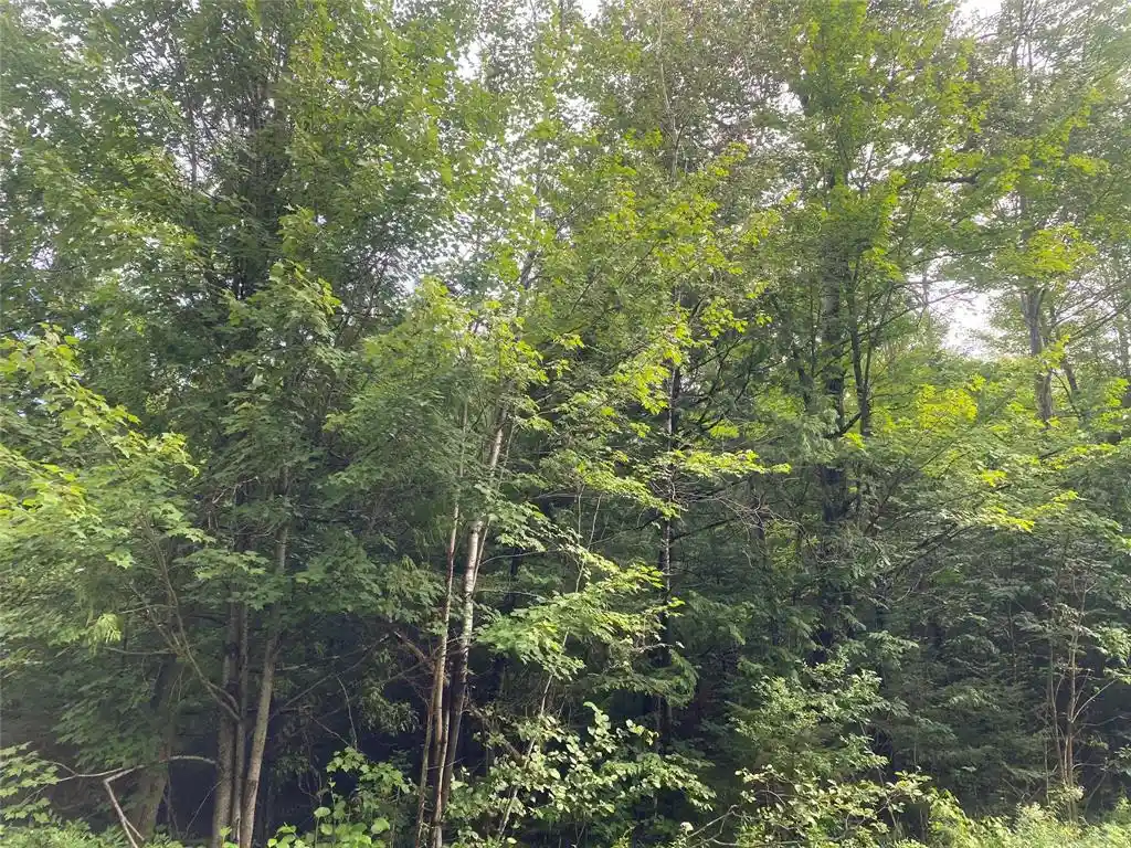 5th image of On Maple Ridge Road Road, Park Falls, WI 54552 | MLS# 1599117