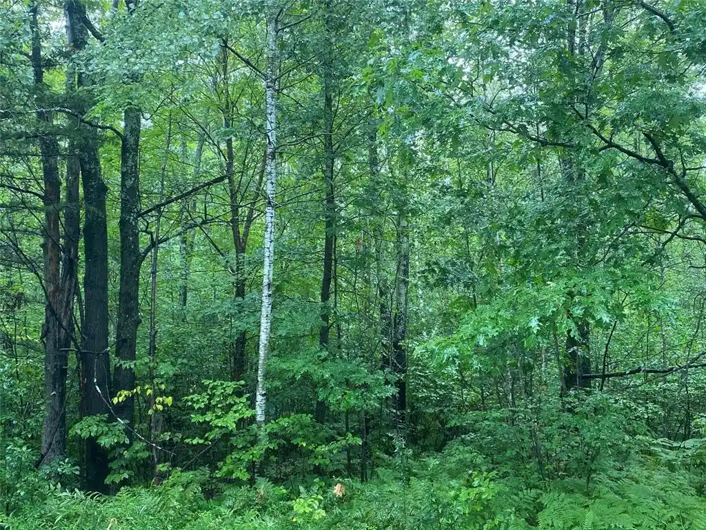 5th image of On Pennington Road Road, Prentice, WI 54556 | MLS# 1599132